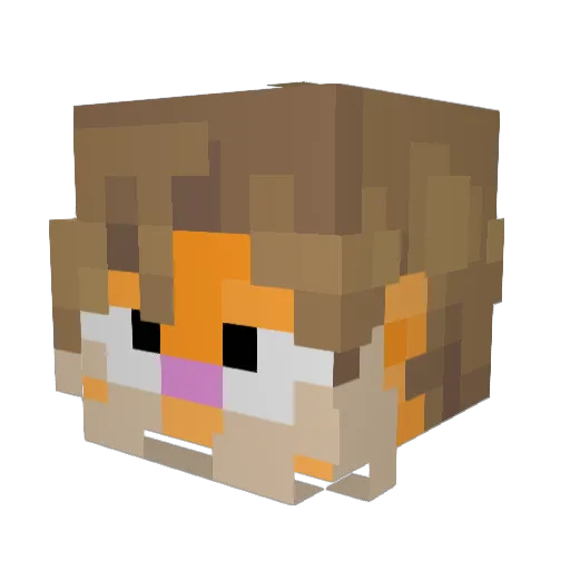 cloebuscus Minecraft avatar head, 3D render