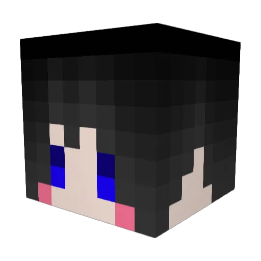 clone_96 Minecraft avatar head, 3D render