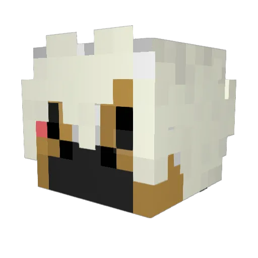 clooneen300 Minecraft avatar head, 3D render