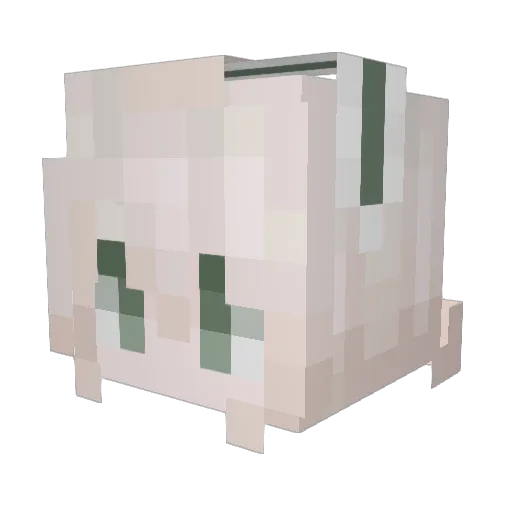 closedcasket Minecraft avatar head, 3D render