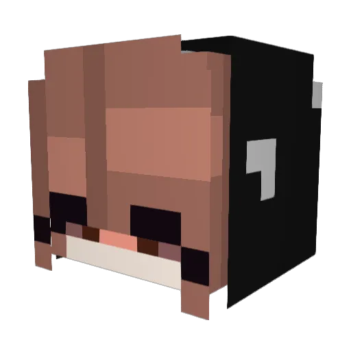 closerflies Minecraft avatar head, 3D render