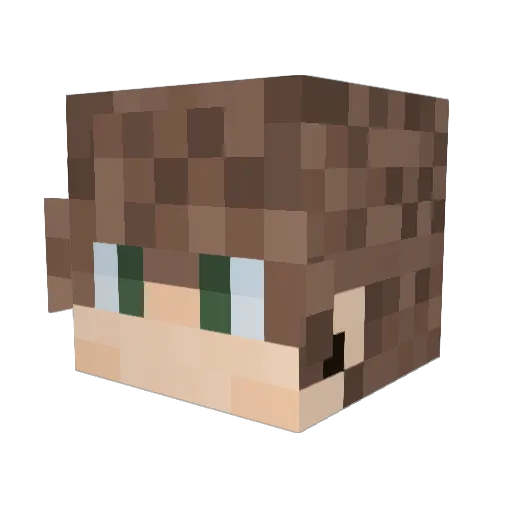 closetcritter Minecraft avatar head, 3D render