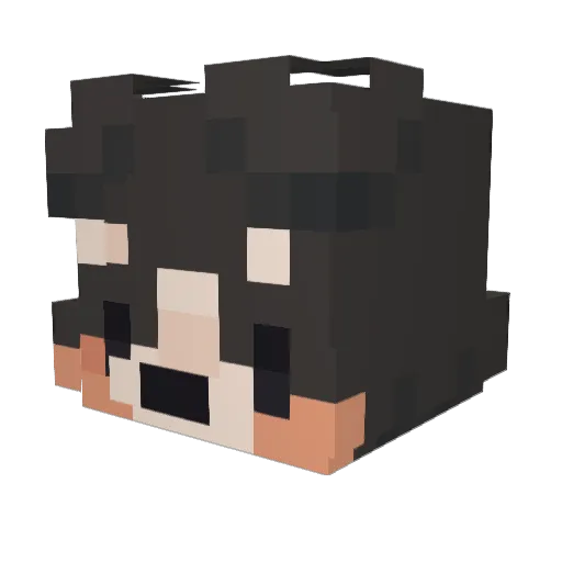 closetedskeleton Minecraft avatar head, 3D render