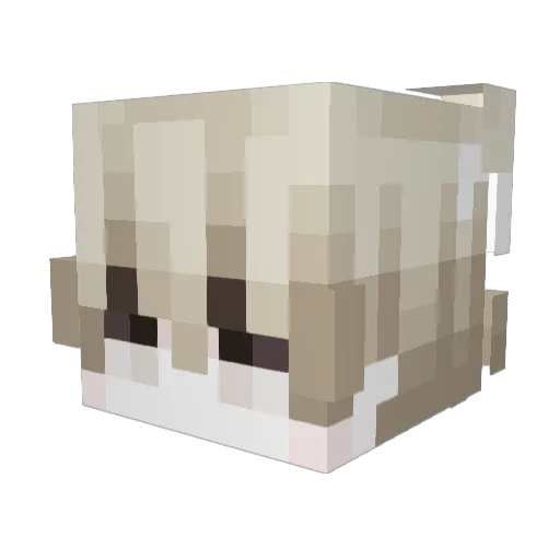 cloud5281 Minecraft avatar head, 3D render