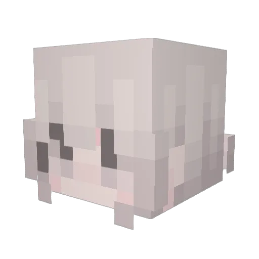 cloud_no9 Minecraft avatar head, 3D render