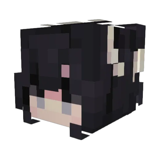 cloudirei Minecraft avatar head, 3D render