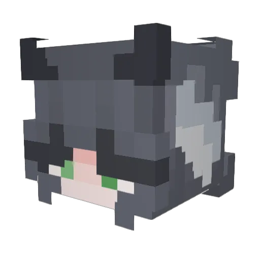 cloudishh Minecraft avatar head, 3D render