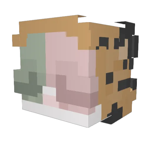 cloudoh Minecraft avatar head, 3D render