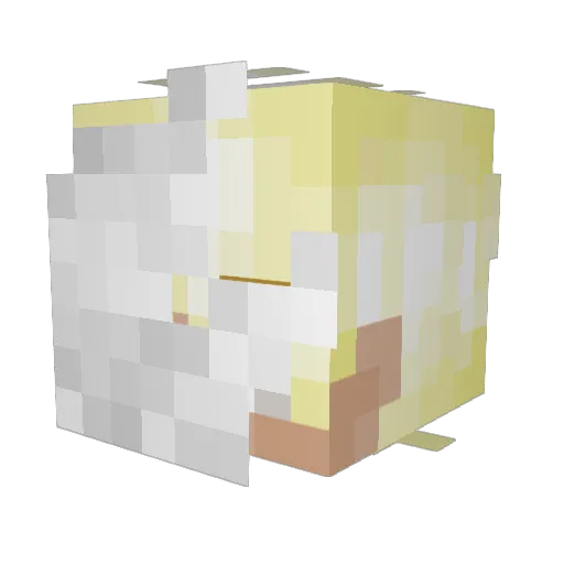 cloudshavefallen Minecraft avatar head, 3D render