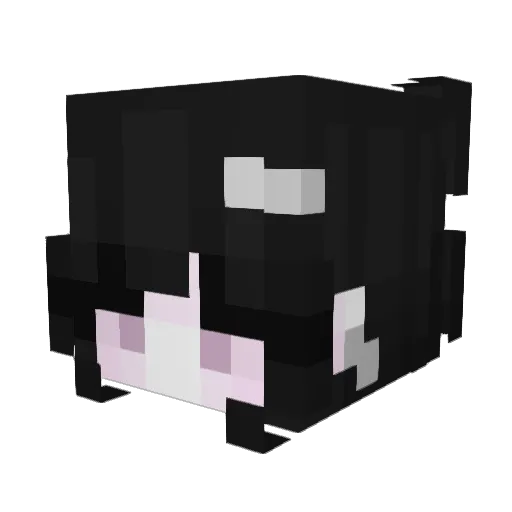cloudy_1222 Minecraft avatar head, 3D render