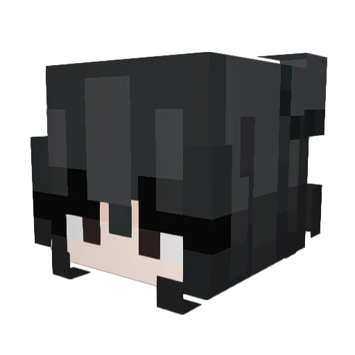cloudyfoxx Minecraft avatar head, 3D render