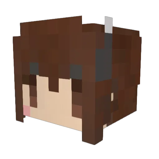 cloudyspider Minecraft avatar head, 3D render