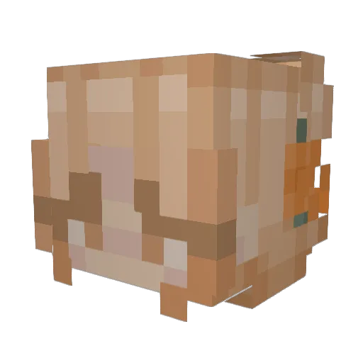 cloudyychloee Minecraft avatar head, 3D render