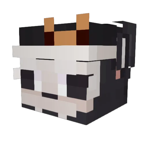 clout85 Minecraft avatar head, 3D render