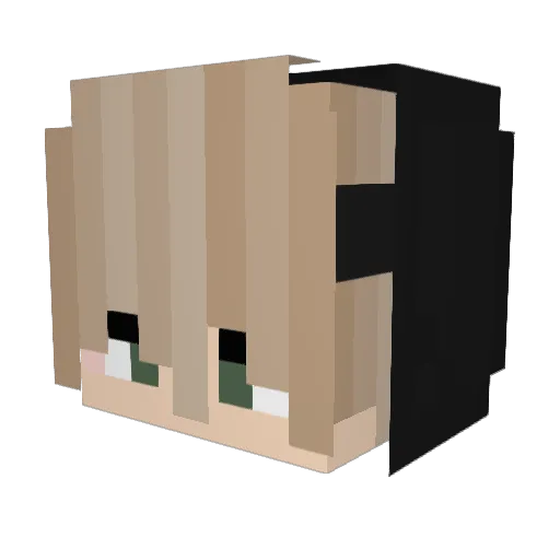 cloverFPS Minecraft avatar head, 3D render