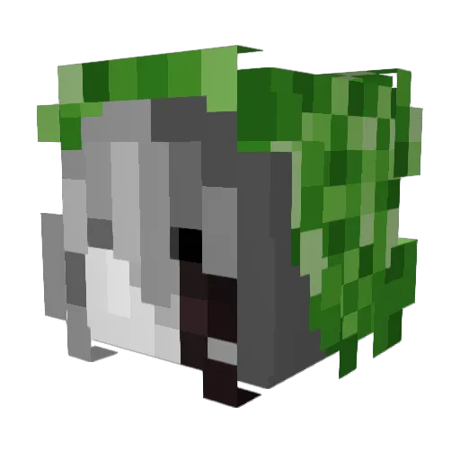 clover_xq Minecraft avatar head, 3D render