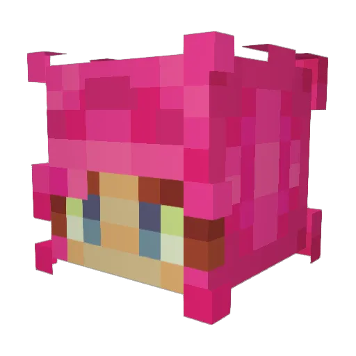 cloveradh Minecraft avatar head, 3D render