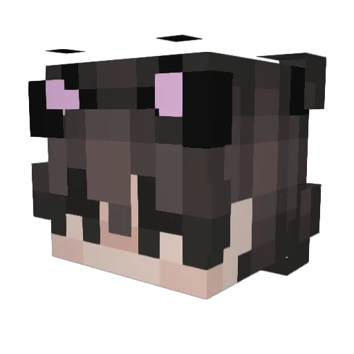 clovercooki Minecraft avatar head, 3D render