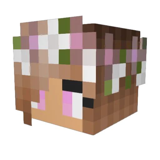 cloverisonline Minecraft avatar head, 3D render