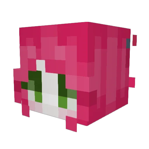 cloverleaf4 Minecraft avatar head, 3D render