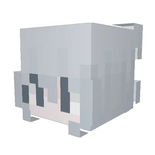 cloverpins Minecraft avatar head, 3D render