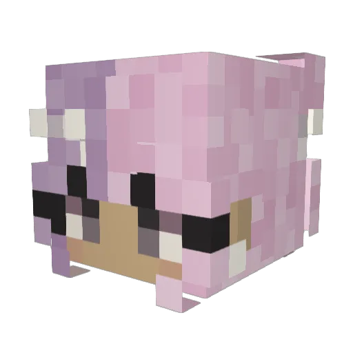 cloversworld Minecraft avatar head, 3D render