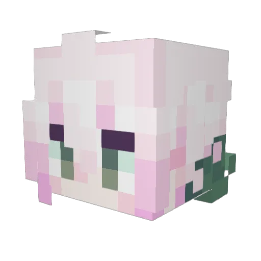 clown428 Minecraft avatar head, 3D render