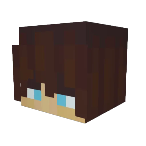 clua_ Minecraft avatar head, 3D render