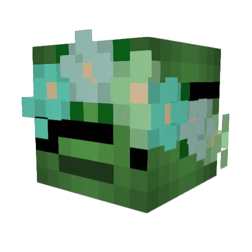 cluelessqueso Minecraft avatar head, 3D render