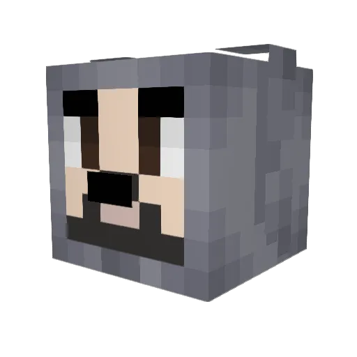 cluelesstraveler Minecraft avatar head, 3D render