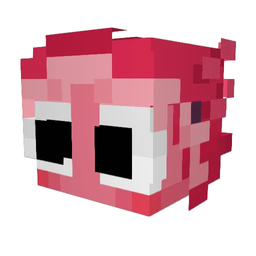 clusterbow Minecraft avatar head, 3D render