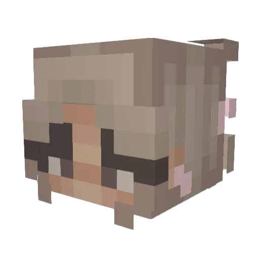 clxmsylivv Minecraft avatar head, 3D render