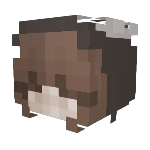 clxudyrein Minecraft avatar head, 3D render