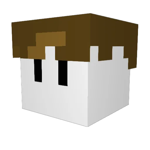 cmack_13 Minecraft avatar head, 3D render