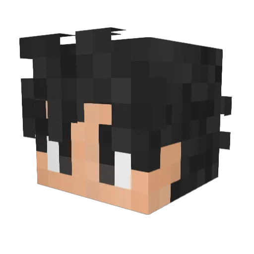 cmadd13 Minecraft avatar head, 3D render