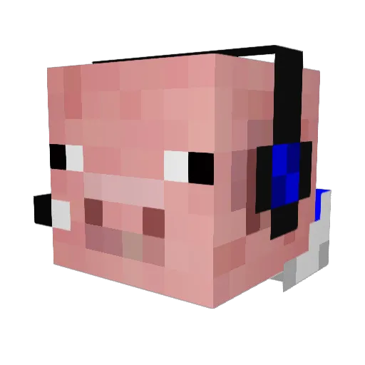 cmandoesmc007 Minecraft avatar head, 3D render