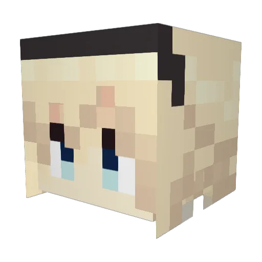 cmtse_ Minecraft avatar head, 3D render
