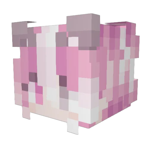 cnb Minecraft avatar head, 3D render