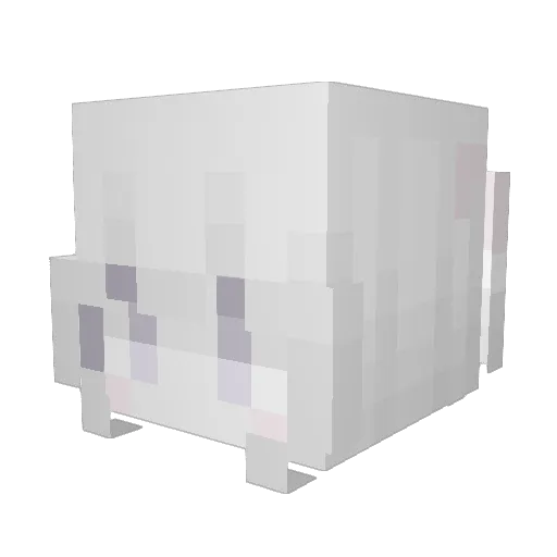 cncpaw Minecraft avatar head, 3D render