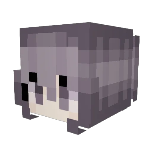 cncpet Minecraft avatar head, 3D render