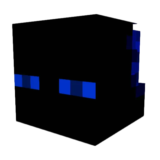 cnfbro Minecraft avatar head, 3D render
