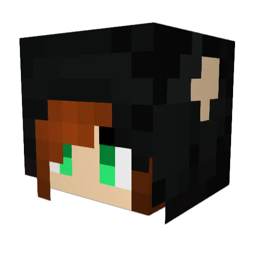 cnm1016 Minecraft avatar head, 3D render