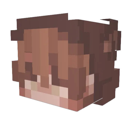 cnol Minecraft avatar head, 3D render