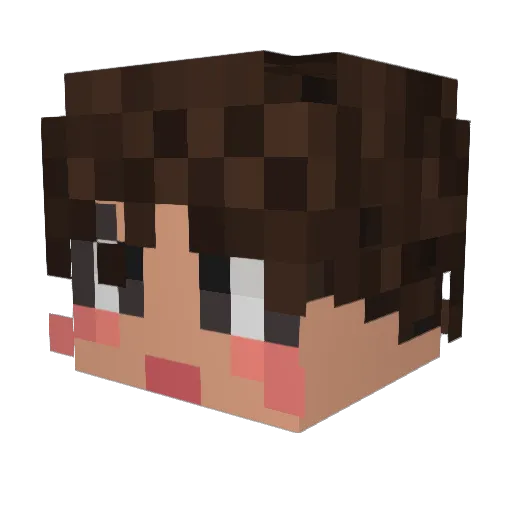 cnpl Minecraft avatar head, 3D render