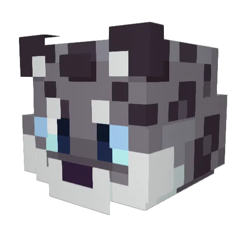 cnw Minecraft avatar head, 3D render