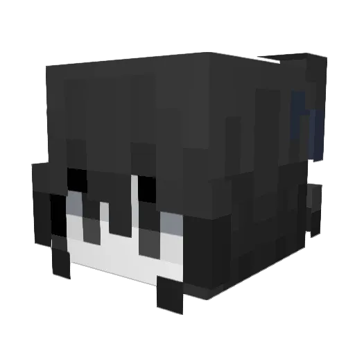 cnx0_ Minecraft avatar head, 3D render
