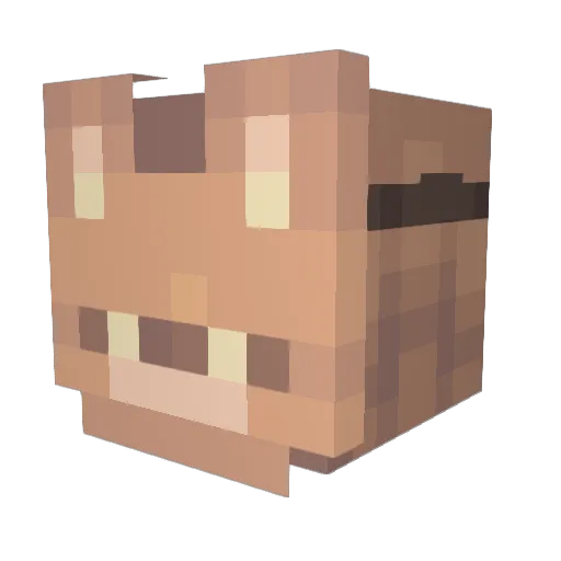 co0kiemonsta19 Minecraft avatar head, 3D render