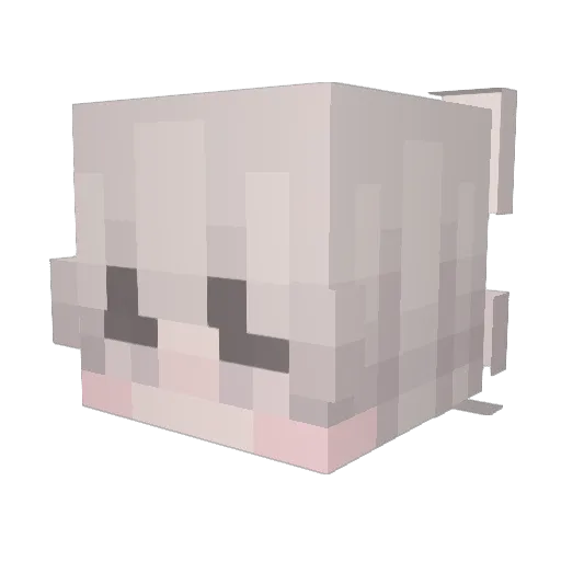 co5ine Minecraft avatar head, 3D render
