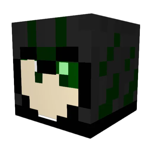 co_nn Minecraft avatar head, 3D render