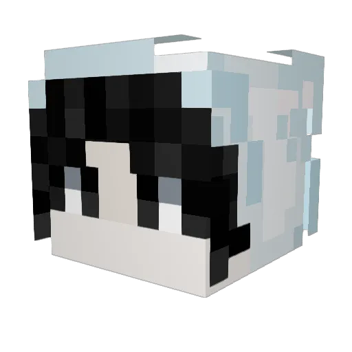 co_ozi Minecraft avatar head, 3D render